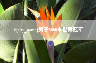 睢县男子5000米世界冠军