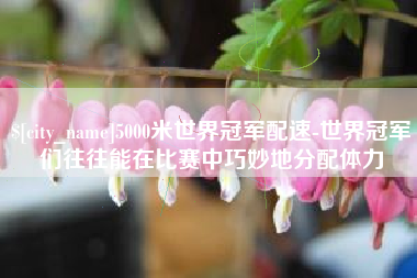 睢县5000米世界冠军配速-世界冠军们往往能在比赛中巧妙地分配体力
