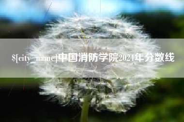 睢县中国消防学院2024年分数线