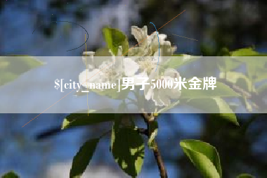 睢县男子5000米金牌