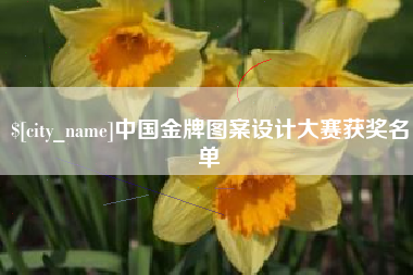 睢县中国金牌图案设计大赛获奖名单