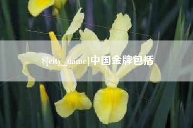 睢县中国金牌包括
