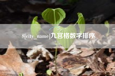 睢县九宫格数字排序