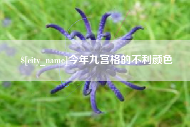 睢县今年九宫格的不利颜色
