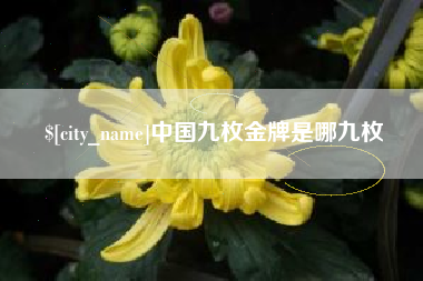 睢县中国九枚金牌是哪九枚