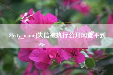 睢县失信被执行公开网查不到