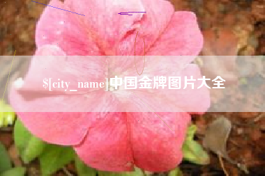 睢县中国金牌图片大全