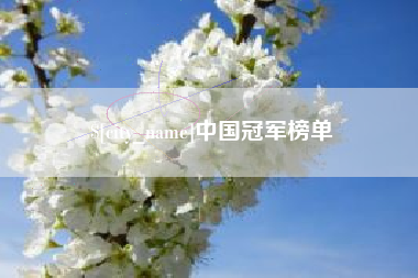 睢县中国冠军榜单