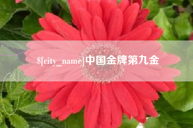 睢县中国金牌第九金