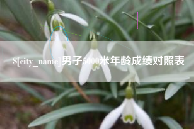 睢县男子5000米年龄成绩对照表