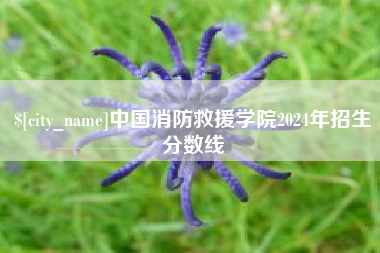 睢县中国消防救援学院2024年招生分数线