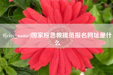 睢县国家应急救援员报名网址是什么