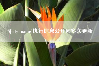 睢县执行信息公开网多久更新