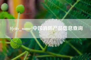 睢县中国消防产品信息查询