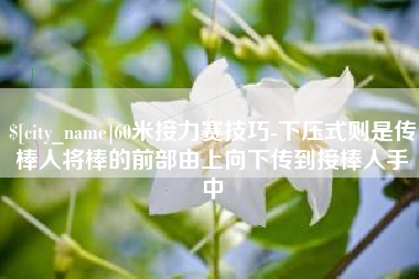 睢县60米接力赛技巧-下压式则是传棒人将棒的前部由上向下传到接棒人手中
