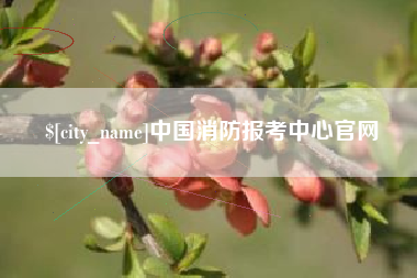 睢县中国消防报考中心官网