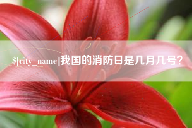 睢县我国的消防日是几月几号？