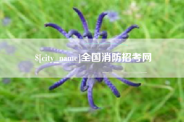睢县全国消防招考网