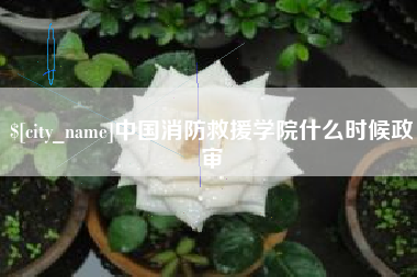 睢县中国消防救援学院什么时候政审