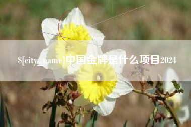 睢县中国金牌是什么项目2024
