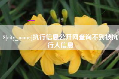 睢县执行信息公开网查询不到被执行人信息