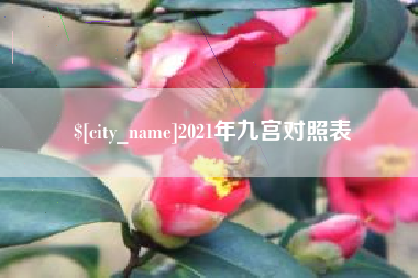 睢县2021年九宫对照表
