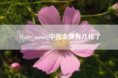 睢县中国金牌有几枚了