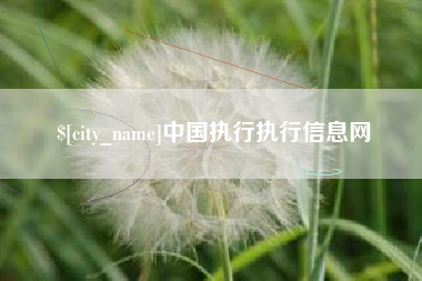 睢县中国执行执行信息网