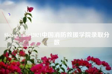 睢县2021中国消防救援学院录取分数