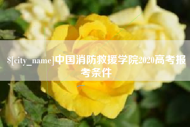 睢县中国消防救援学院2020高考报考条件