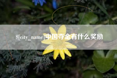 睢县中国夺金有什么奖励