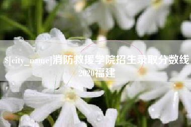 睢县消防救援学院招生录取分数线2020福建