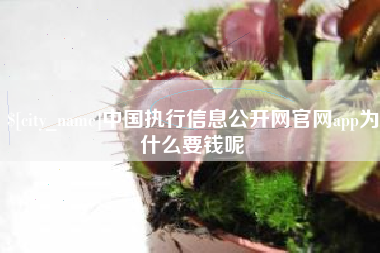 睢县中国执行信息公开网官网app为什么要钱呢