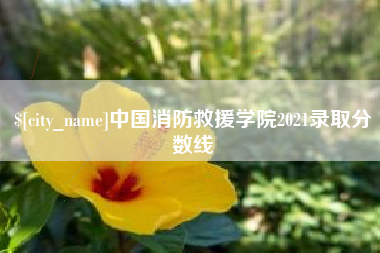 睢县中国消防救援学院2021录取分数线
