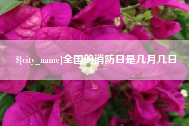 睢县全国的消防日是几月几日