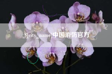 睢县中国消防官方