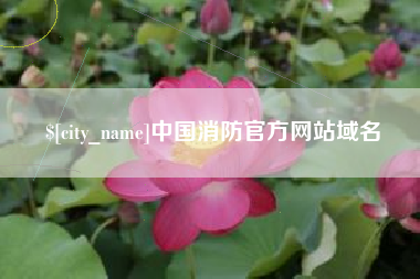睢县中国消防官方网站域名