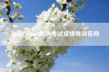 睢县消防考试成绩查询官网