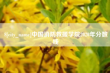 睢县中国消防救援学院2020年分数线