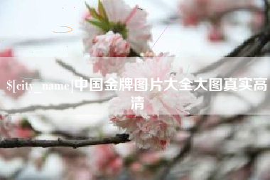 睢县中国金牌图片大全大图真实高清