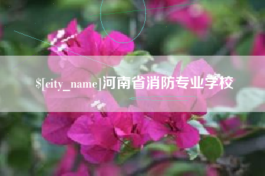 睢县河南省消防专业学校
