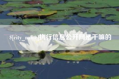 睢县执行信息公开网是干嘛的