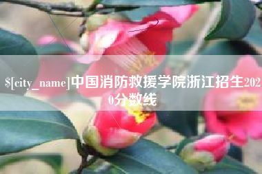睢县中国消防救援学院浙江招生2020分数线