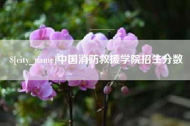 睢县中国消防救援学院招生分数