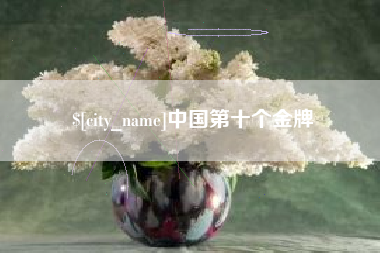 睢县中国第十个金牌