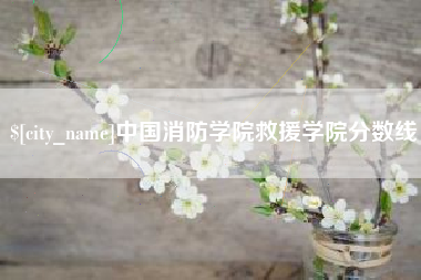 睢县中国消防学院救援学院分数线