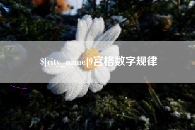 睢县9宫格数字规律