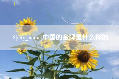 睢县中国的金牌是什么样的