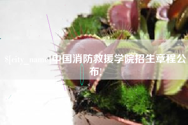 睢县中国消防救援学院招生章程公布!