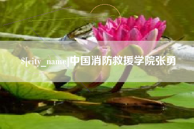 睢县中国消防救援学院张勇